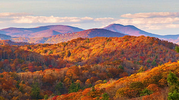 Blue Ridge Mountains in North Carolina, hills, trees, autumn, landscape, clouds, sky, forest, usa HD wallpaper