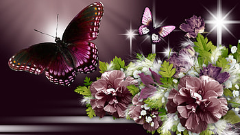 Mauve on Wine, feathers, glow, firefox persona, stars, mauve, butterfly, light, bright, flowers, wine HD wallpaper