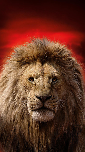 The Lion King (2022) movie HD phone wallpaper