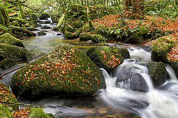 England-Cornwall, England, nature, stream, Cornwall HD wallpaper
