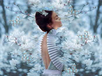 Delicate Pastel Blue, pastel, blue, butterflies, white, brown, soft, girl, lovely, beautiful HD wallpaper