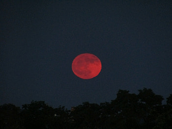 Strawberry full summer solstice Moon June 21st, 2024., moon, sky, Celestial HD wallpaper