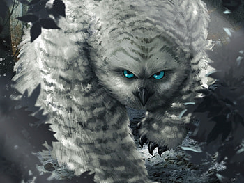 movie, Dungeons & Dragons: Honor Among Thieves HD wallpaper