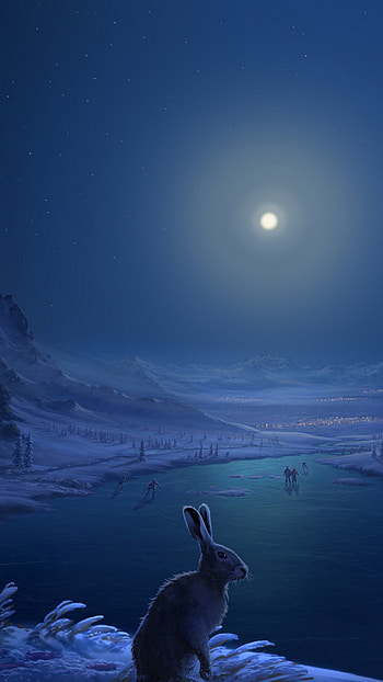 Rabbit by frozen lake, Dark night scene, Sony Xperia , / HD phone wallpaper