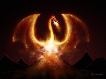 firedragon, dragon, fire HD wallpaper