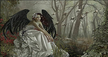Angel girl in forest, girl, angel girl, girl and forest HD wallpaper