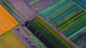Colorful Fields Aerial View, aerial, nature HD wallpaper