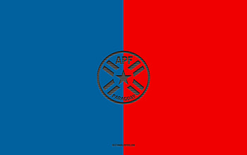 Paraguay national football team, blue red background, football team, emblem, CONMEBOL, Paraguay, football, Paraguay national football team logo, South America HD wallpaper