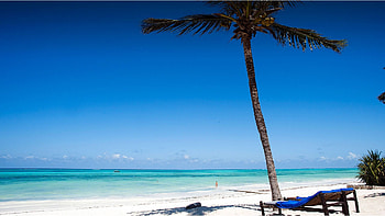 Karafuu Beach Resort, Zanzibar island, Idyllic retreat, Beachfront paradise HD wallpaper