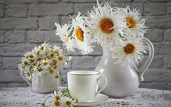 Beautiful Flowers, Mug, Cup, Didhes, Pitcher HD wallpaper