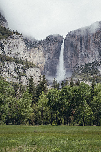 Landscape, Nature, Trees, Rock, Waterfall, Flow, Stream HD phone wallpaper