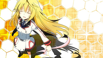 Lovely Charlotte, Infinite Stratos HD wallpaper