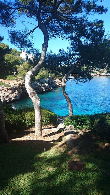 Views from Inturotelcalaazulpark, Inturotel resort, Aparthotel Calador, Mallorca HD phone wallpaper