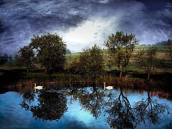 Mystic Lake, swans, clouds, trees, r, storm, reflections, darness HD wallpaper