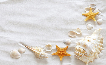 whait beach, whait, cute, nice, beach HD wallpaper