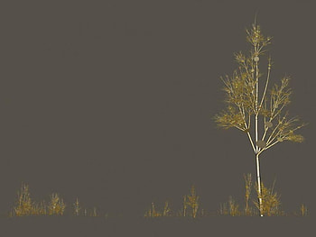 Golden Tree, grass, hazy, art HD wallpaper