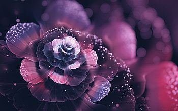 Fractal Flowers Abstract, abstract, flowers, artist, art HD wallpaper