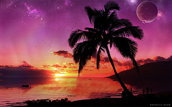 Landscape, Trees, Sunset, Sky, Sea, Palms HD wallpaper