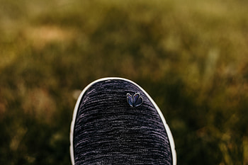 Macro, Close-Up, Cloth, Butterfly, Footwear HD wallpaper