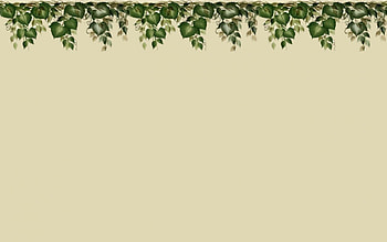 Green Vine Top Border F1, art, illustration, artwork, wide screen, easy view, painting, vines, greenery, leaf, border, art design HD wallpaper