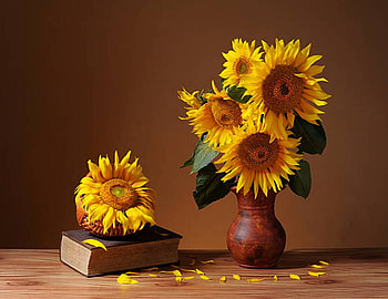 Sunflowers in a vase, Flowers, Sunflowers, Vase, Book HD wallpaper
