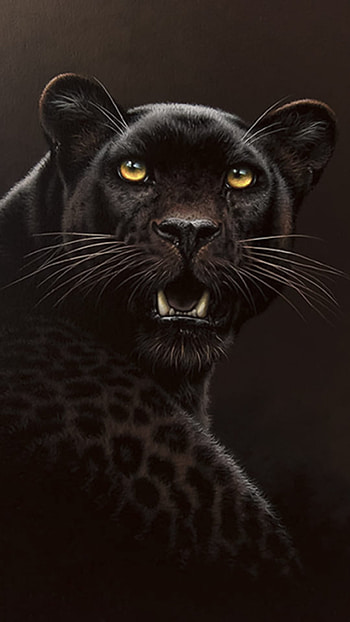 Chittah, terrestrial animal, whiskers, animals, leapord HD phone wallpaper
