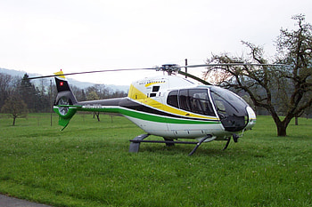 Morning for Flight, optimism, nature, helicopter, colibri HD wallpaper