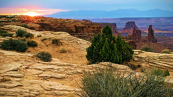 Sunrise in the Canyonlands, utah, clouds, trees, sky, rocks, usa HD wallpaper