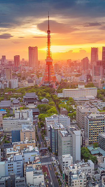 Tokyo Skyline, Morning in Tokyo, Serene views, Calm atmosphere HD phone wallpaper