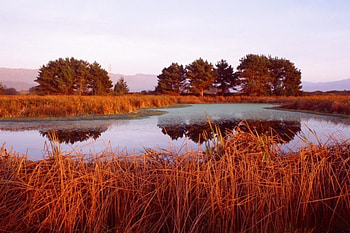 SUN BURN NATURE, scenery, brown, nature, water HD wallpaper