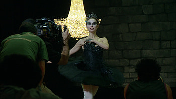 black swan, Vintage swan , Swan lake , Swan HD wallpaper