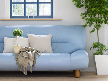 Flower, Miscellanea, Miscellaneous, Window, Sofa, Cushions, Pillows, Plaid HD wallpaper