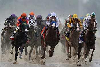 2019 race, Kentucky Derby HD wallpaper