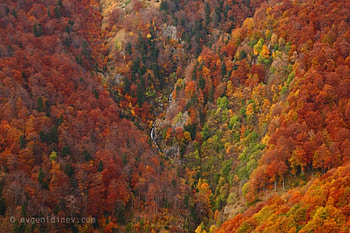 Balkan, bulgaria, autumn, fall, mountain HD wallpaper