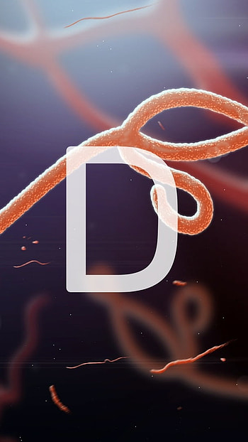D Name, Stylish Name HD phone wallpaper