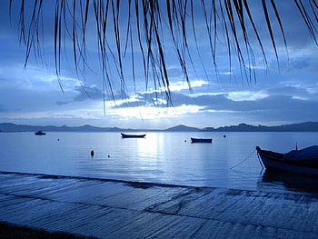 blue rain, blue, rain HD wallpaper