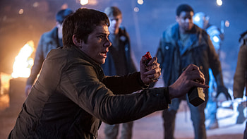 Dylan O'Brien Movies, Striking choice, High-definition , Impressive background HD wallpaper