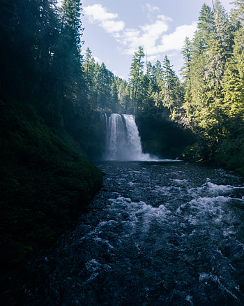 Nature, Rivers, Trees, Waterfall, Forest HD phone wallpaper