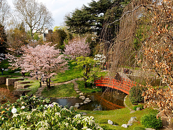 Nature, Trees, Stones, Registration, Typography, Bloom, Flowering, Bridge, Overcast, Mainly Cloudy, Above, From Above HD wallpaper