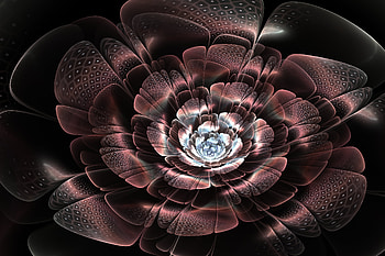 Abstract, Smoke, Flower, Shine, Light, Petals, Lines, Shroud HD wallpaper