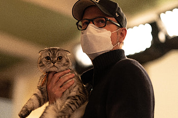 Argylle Movie Scene with Cat -, Argylle, movie HD wallpaper