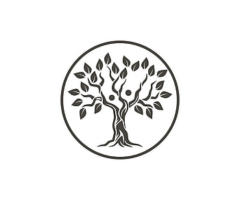 Contact Black Yoga Society, Amity faction, Peaceful community, Yoga lifestyle HD wallpaper