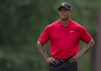 latest , Sports icon, Tiger Woods, High-quality HD wallpaper