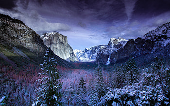 Yosemite NP in Winter, winter, np, yosemite, snow HD wallpaper
