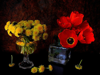 Still Life, yellow, red, vase, flowers HD wallpaper