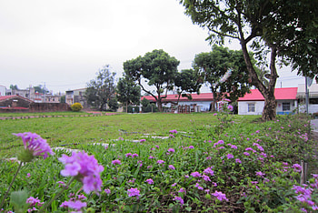 Beautiful countryside, flower, house, beautiful, grass, countryside HD wallpaper