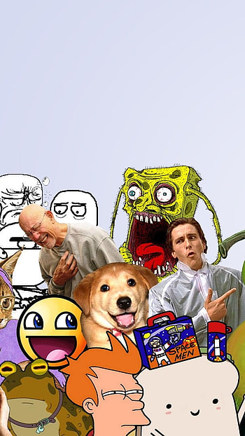 Funny Memes, Posters HD phone wallpaper