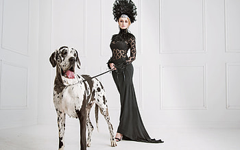 Girl with dog, dog, girl, black, dress HD wallpaper