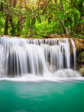 Ultra TV , Rainforest waterfall, Immersive view, Crystal clear HD phone wallpaper