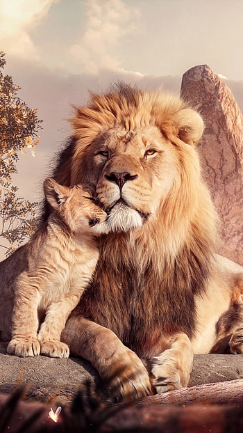 lion, movie HD phone wallpaper